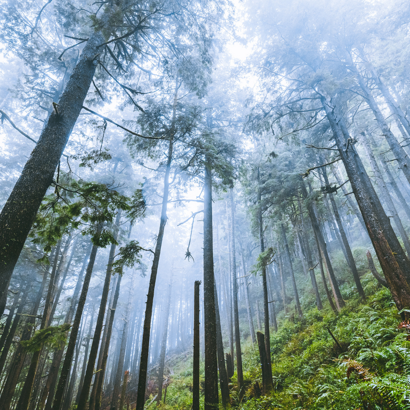 Regional Nuances: Architectural Differences Across Washington's Rural And Urban Areas